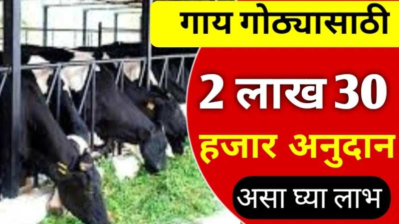 Gai Gotha Yojana 2025