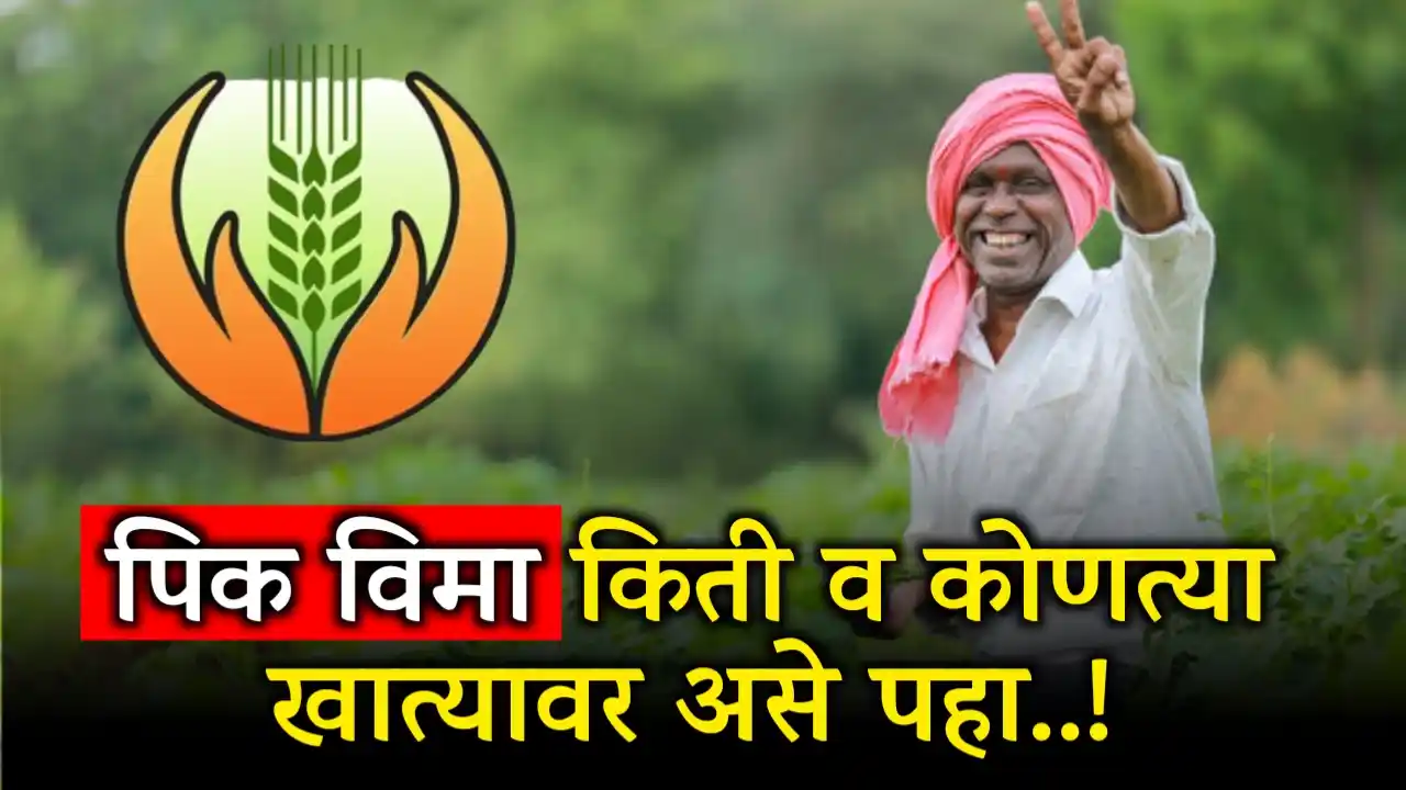 crop insurance update.