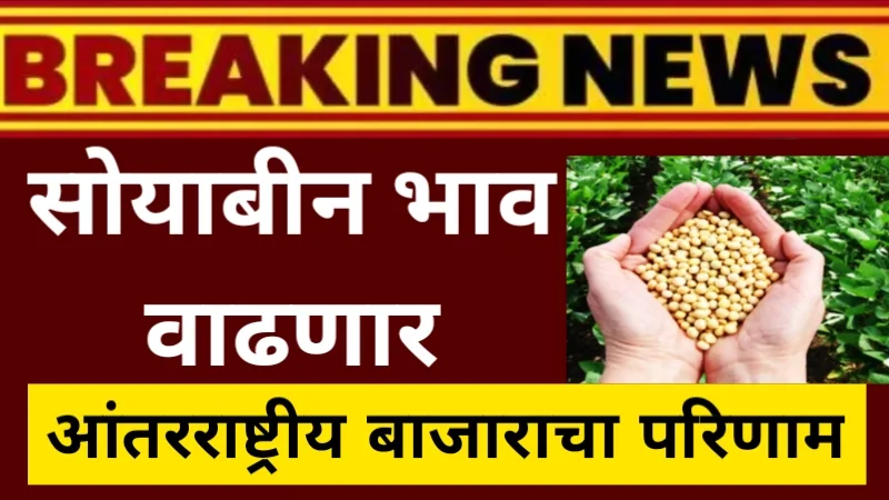 soyabin bhav