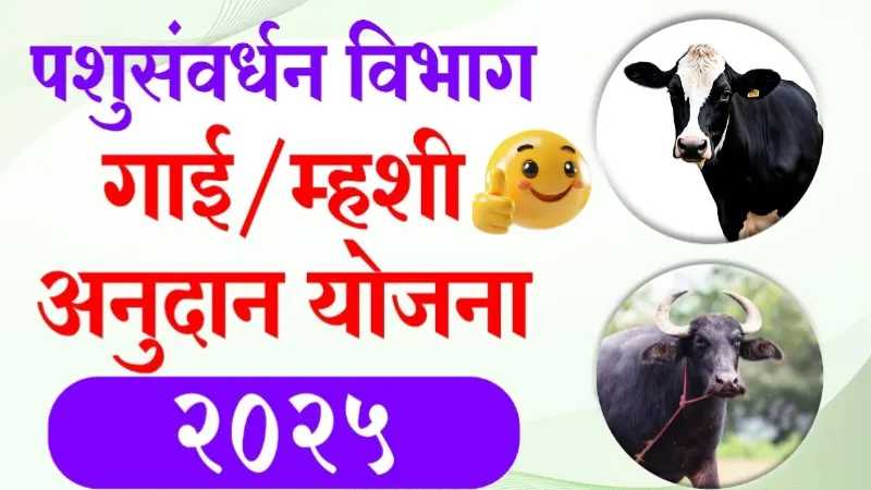Dairy farming subsidy