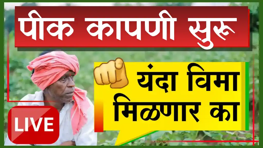 Crop Cutting Experiments