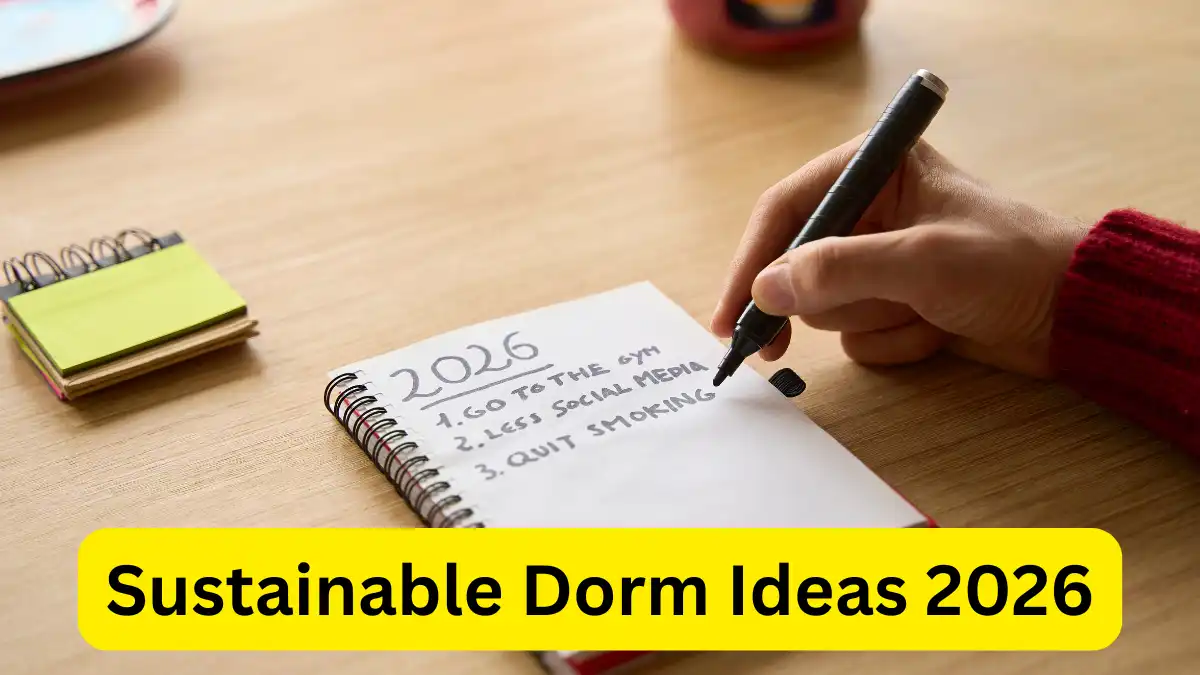 Sustainable Dorm Ideas 2026