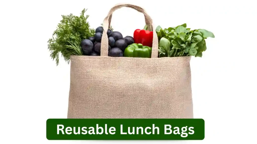 Eco-friendly school supplies 2026